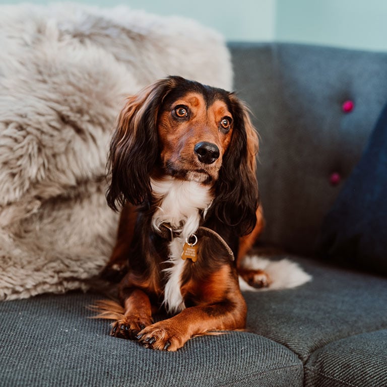 NetMaxRes - About Us