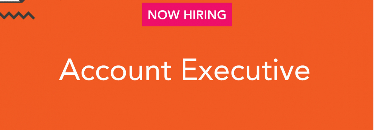 Account Executive at NetMaxRes